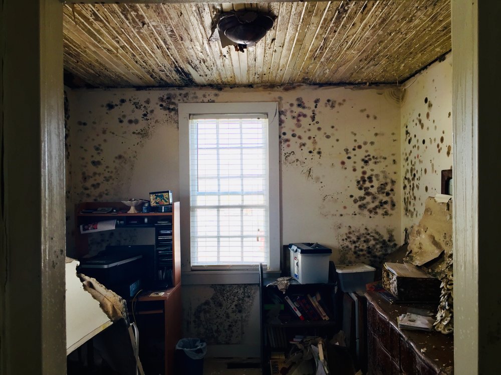 Photo of Kingsley Water Damage Restoration