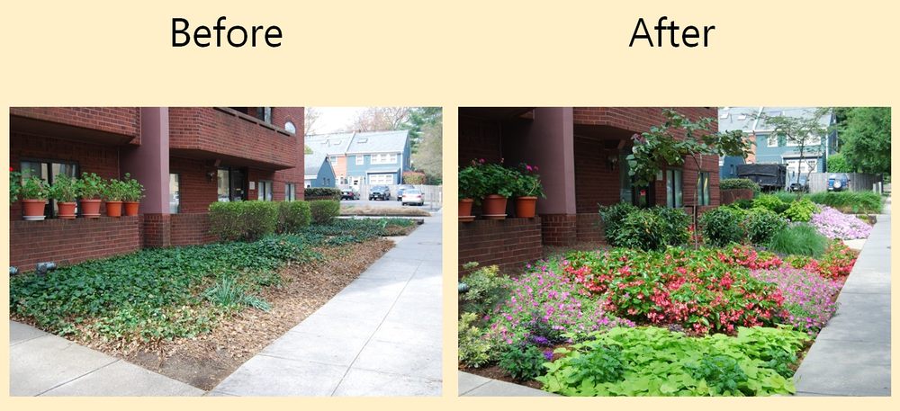 Photo of Star Nurseries
