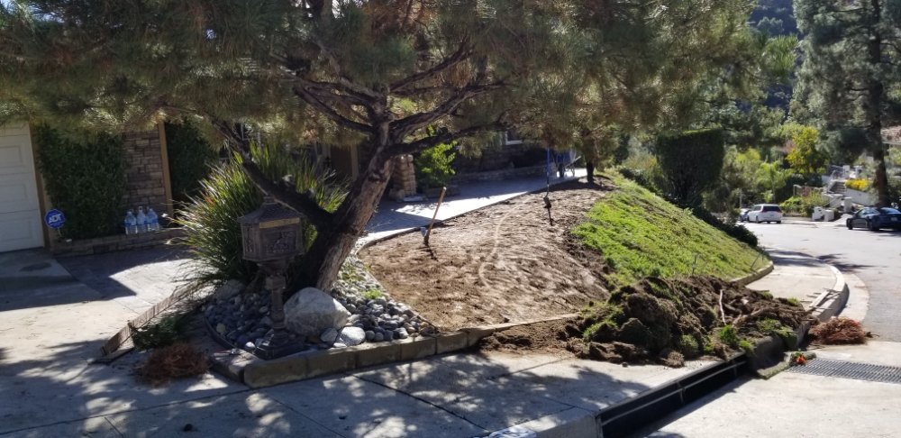 Photo of Bryan's Landscaping