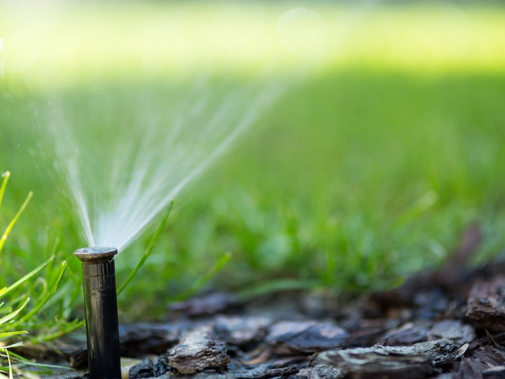 Photo of DM's Landscape and Lawn Care Maintenance