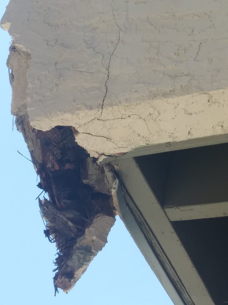 Photo of Sunny Coast Stucco