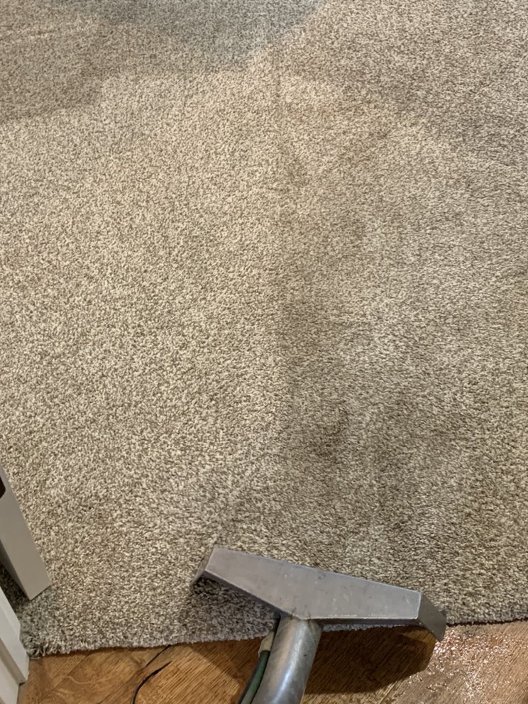 Photo of PureClean