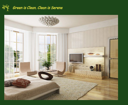 Photo of Eco-Friendly Green Cleaning