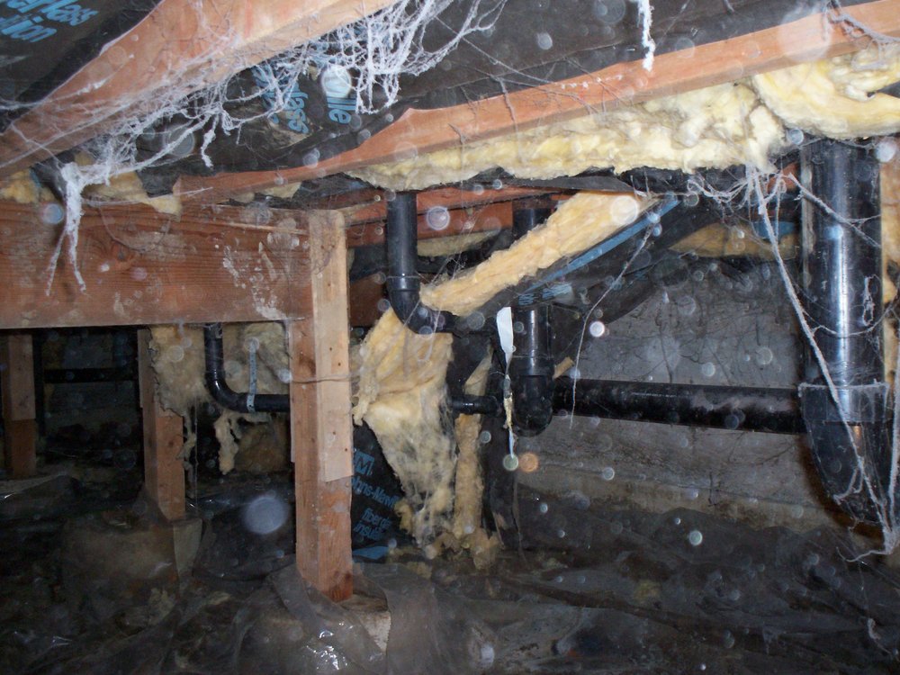 Photo of Clean Crawls - Insulation Install & Removal: Bellevue
