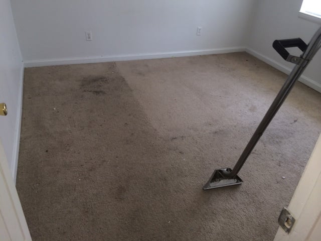 Photo of Without Spot or Blemish Carpet Cleaners