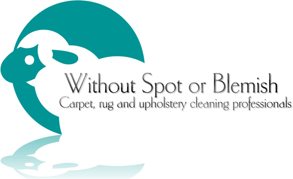 Photo of Without Spot or Blemish Carpet Cleaners