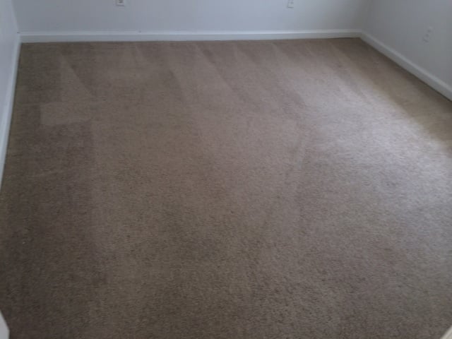 Photo of Without Spot or Blemish Carpet Cleaners