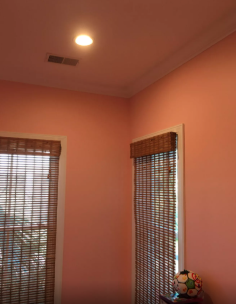 Photo of Reginaldo Painting