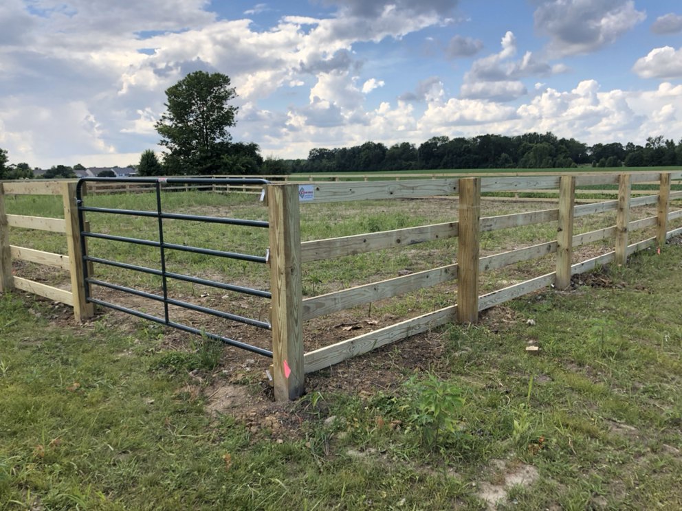 Photo of Lynn Rose Fence