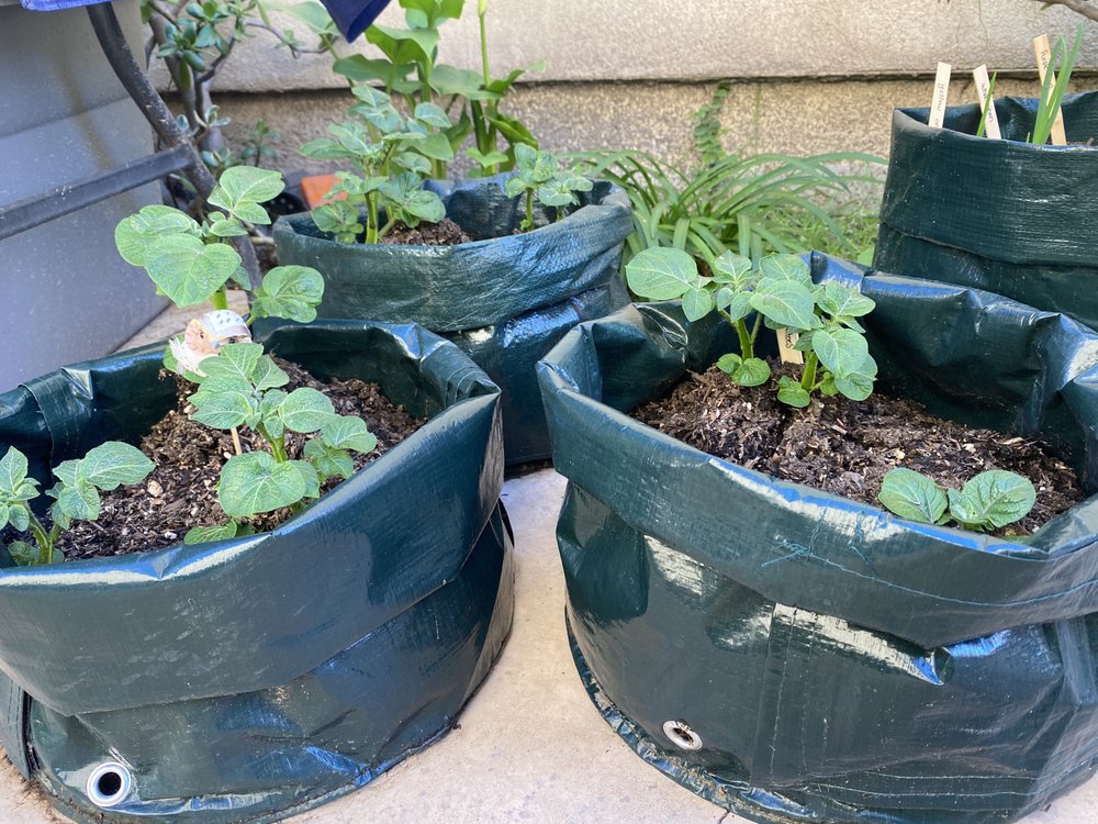 Photo of Julian's Gardening Services