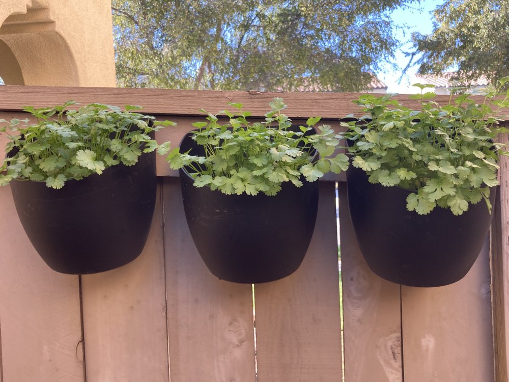 Photo of Julian's Gardening Services