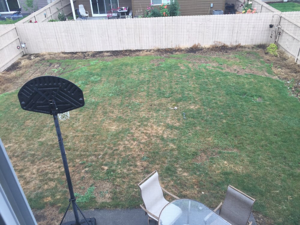 Photo of Rio's Lawn Care