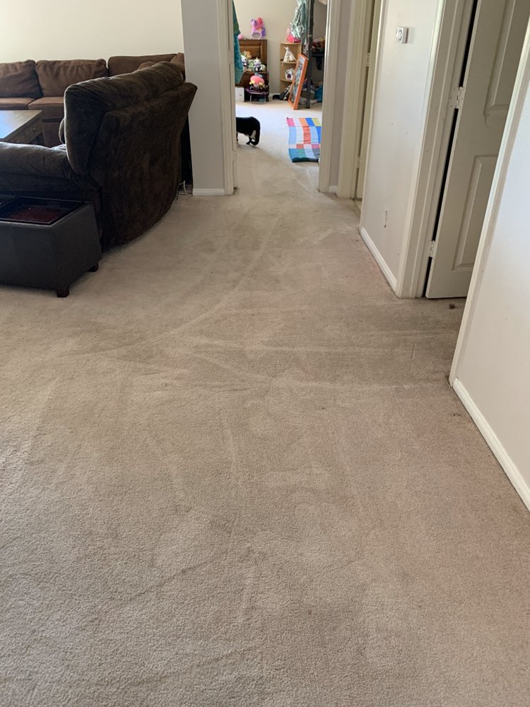 Photo of Kayla Woods Cleaning Service