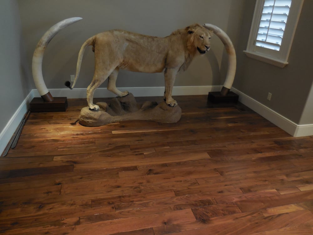 Photo of 123 Flooring Experts