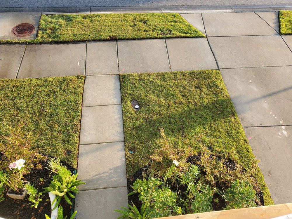 Photo of Curb Appeal Landscaping