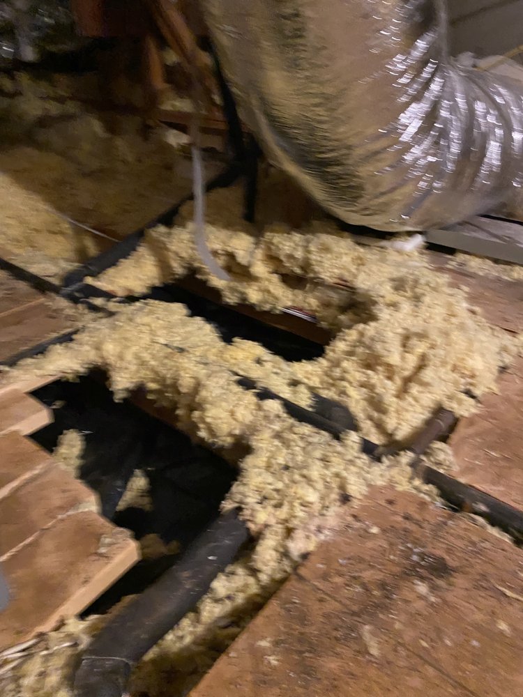 Photo of Apex Water Mitigation & Home Services