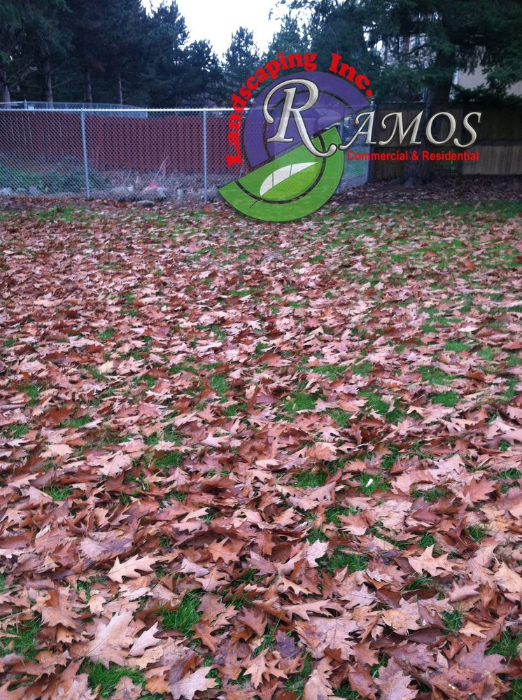 Photo of Ramos Landscaping