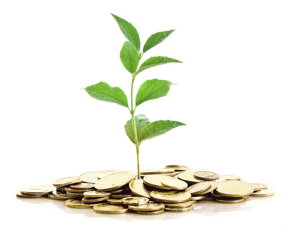Photo of Seren Wealth Advisors