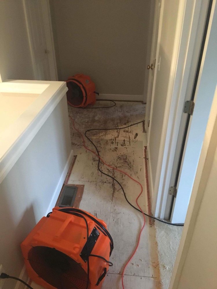 Photo of Alliance Water Restoration