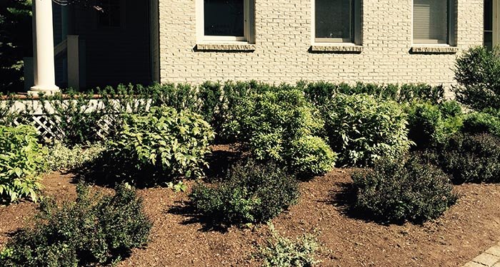 Photo of Monteiro And Sons Landscape Services