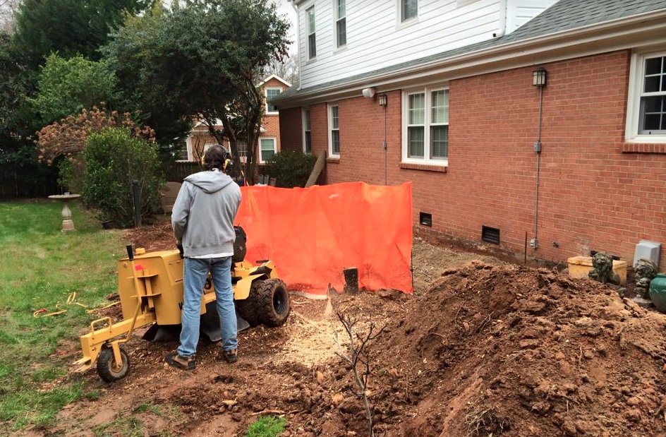 Photo of Designing Gardens