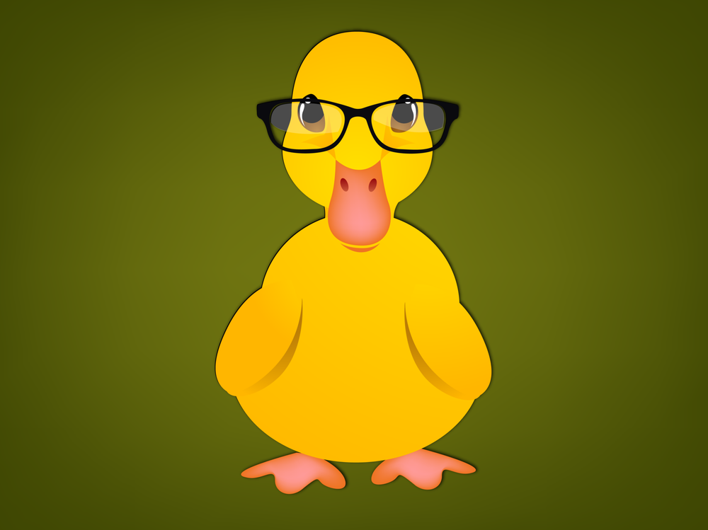 Photo of Office Ducks