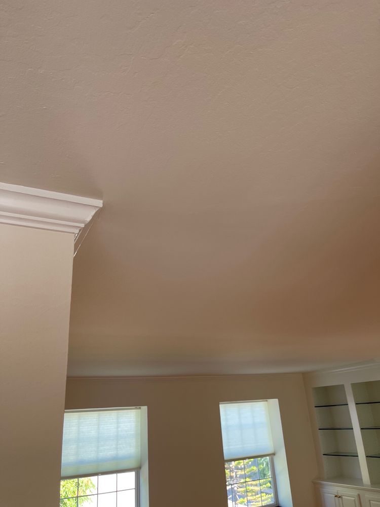 Photo of San Francisco Painting Company