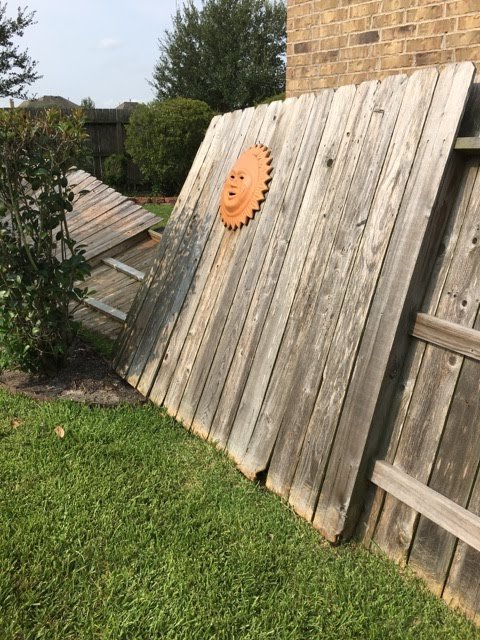 Photo of Total Exterior Cleaning Service