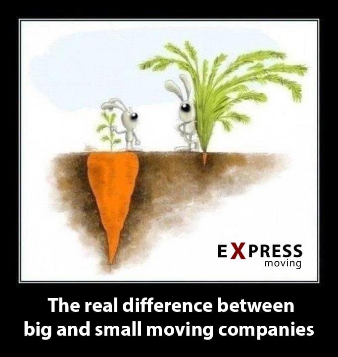 Photo of Express Moving