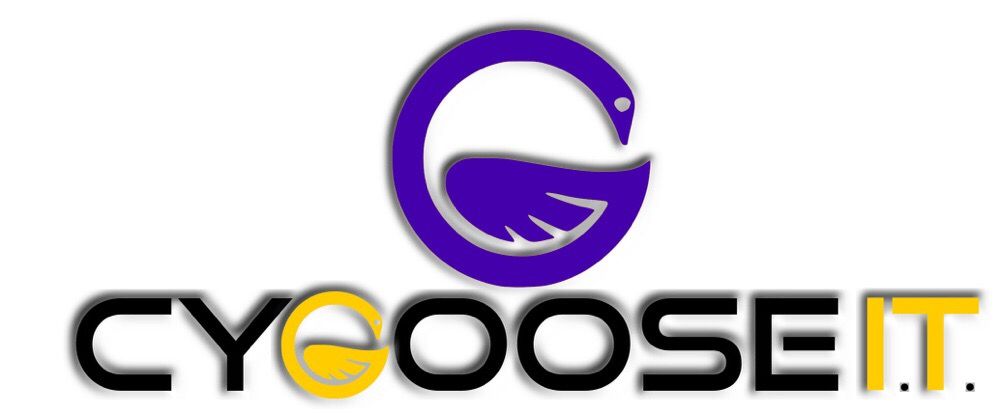 Photo of CyGoose IT
