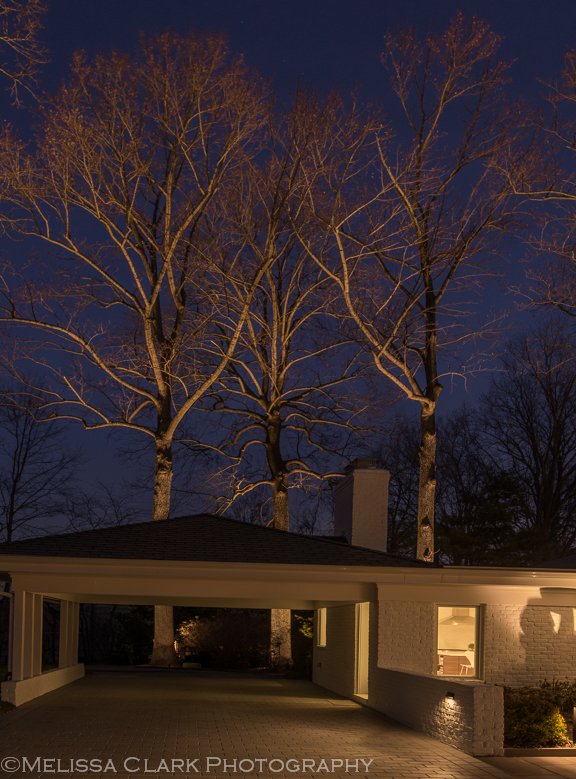 Photo of Outdoor Illumination