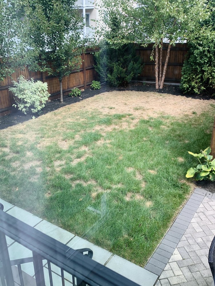 Photo of J Luna Landscaping Service