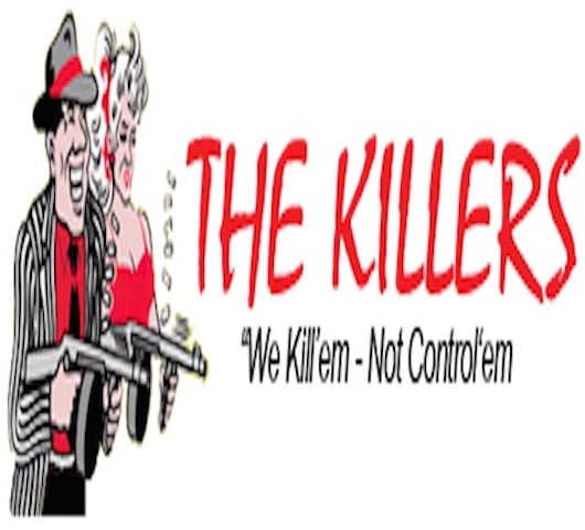 Photo of The Killers Crawl Space Restoration