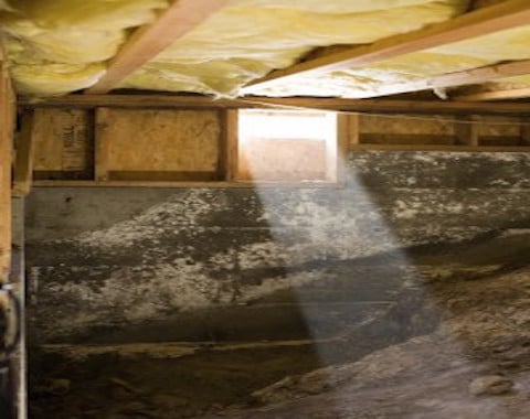 Photo of The Killers Crawl Space Restoration
