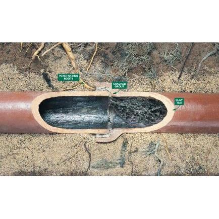 Photo of Jack's Sewer & Plumbing Services