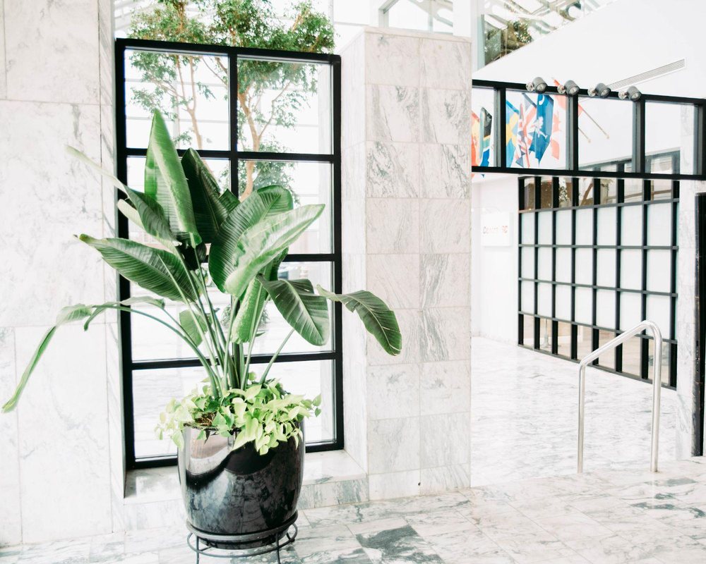 Photo of Interior Plantscapes