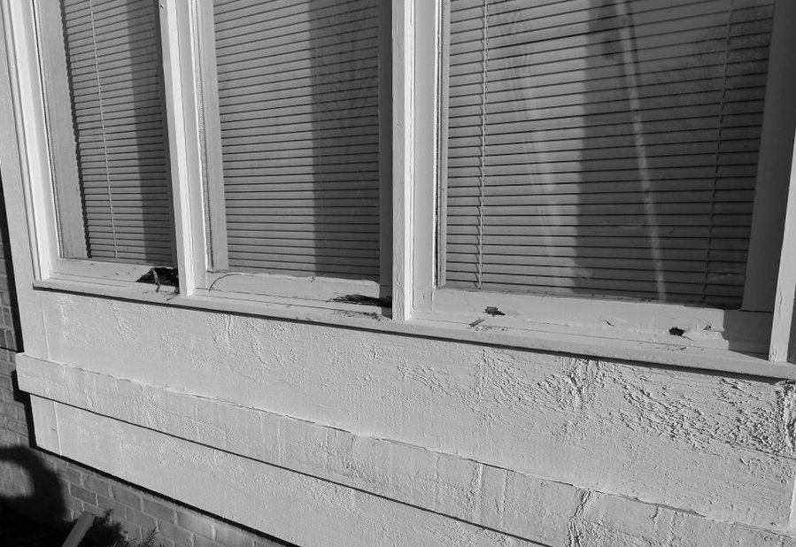 Photo of Aruba Window Repair and Home Improvement