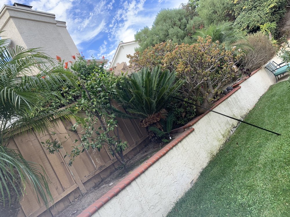 Photo of San Diego Roof Doctor