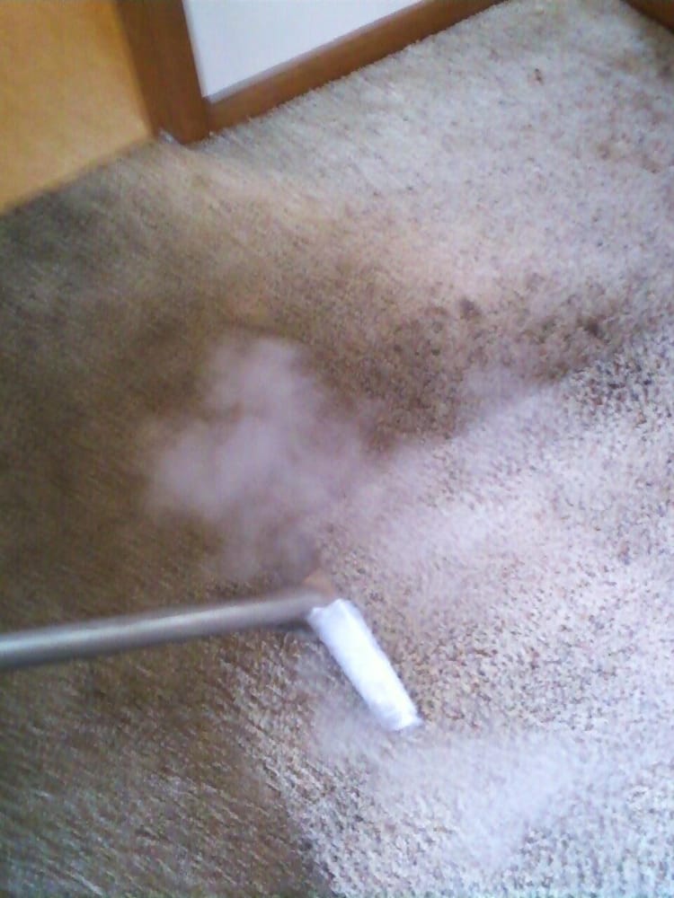 Photo of Procare Carpet Cleaning