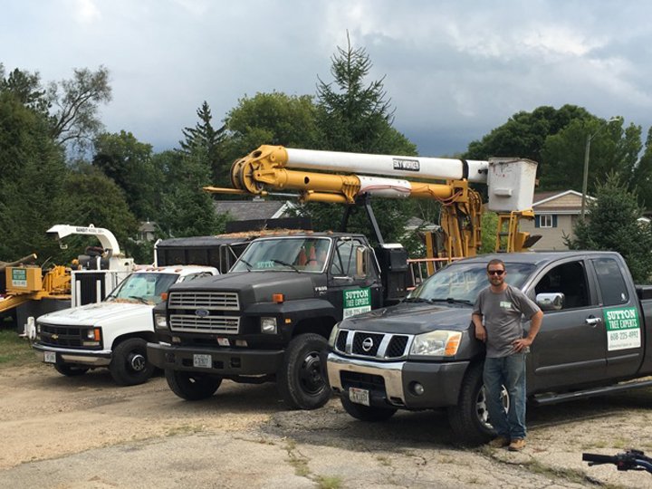 Photo of Sutton Tree Experts