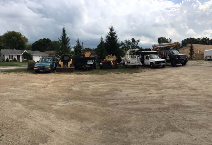 Photo of Sutton Tree Experts