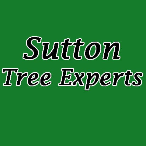 Photo of Sutton Tree Experts