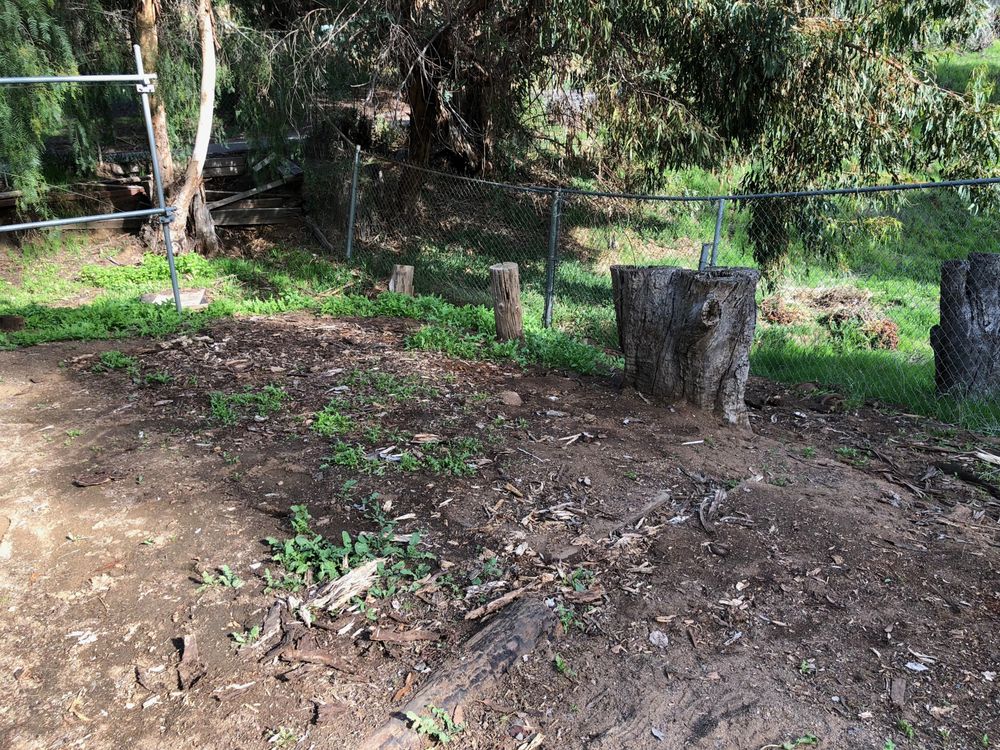 Photo of Moy's Landscaping