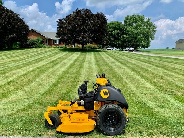 Photo of Proper Lawn Care