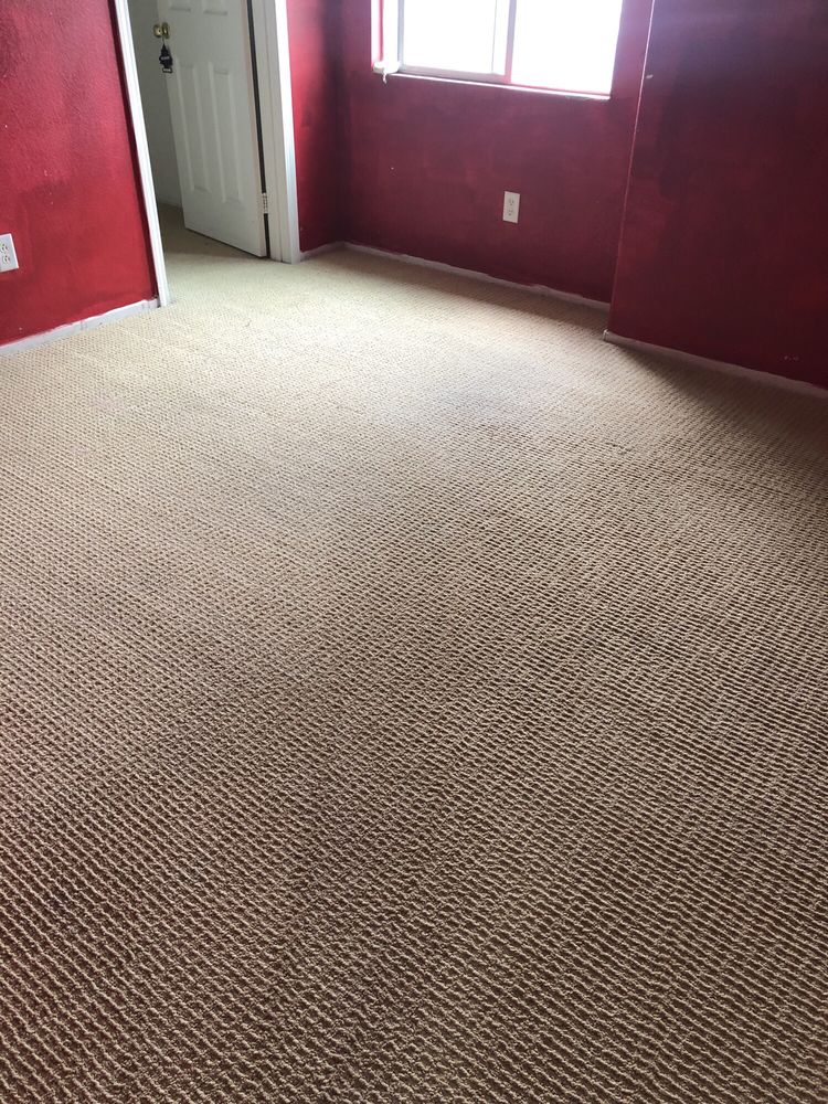 Photo of Pro Clean Carpet Care & Water Damage