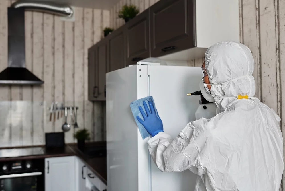Photo of Professional Maintenace Service