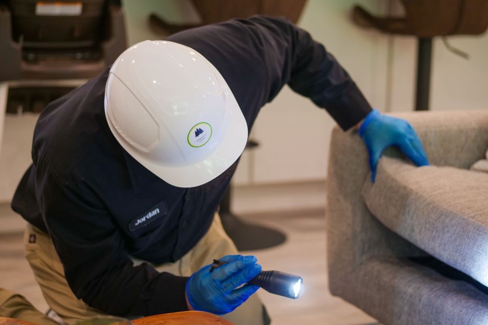 Photo of Issaquah Pest Control