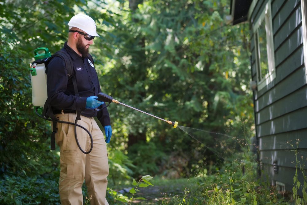 Photo of Issaquah Pest Control