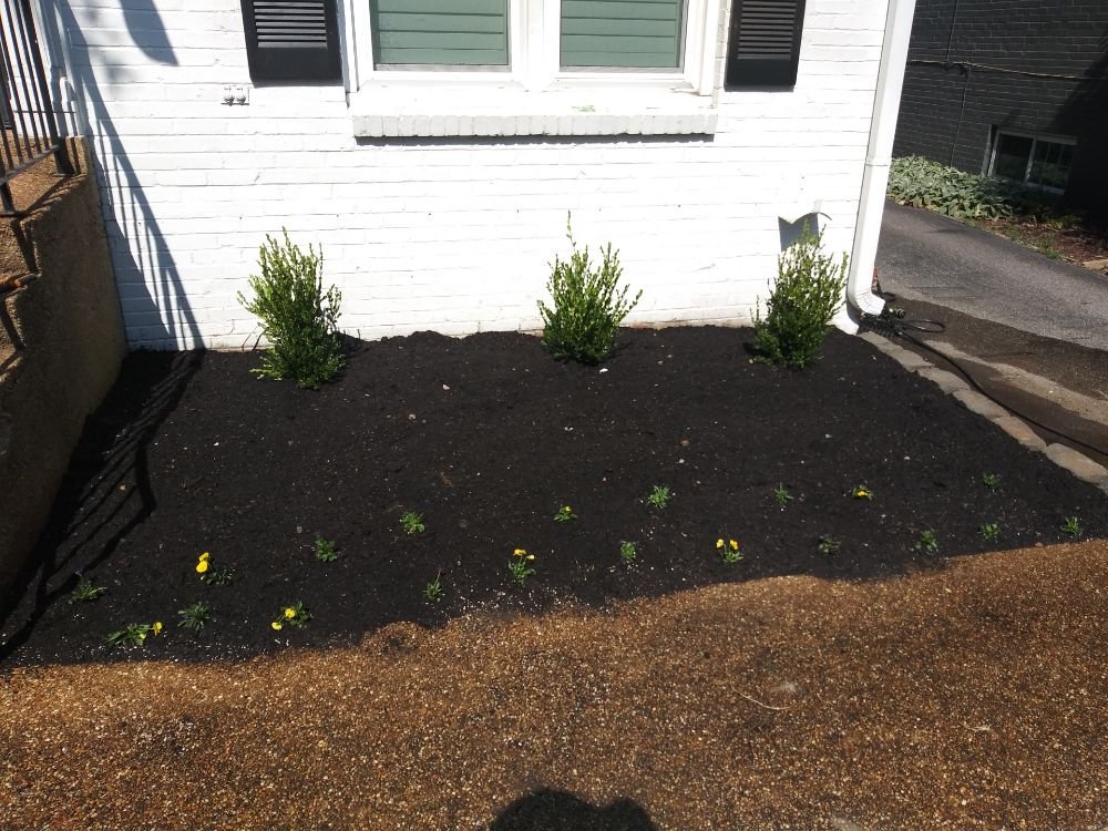 Photo of Joe's LawnCare and Landscaping Solutions