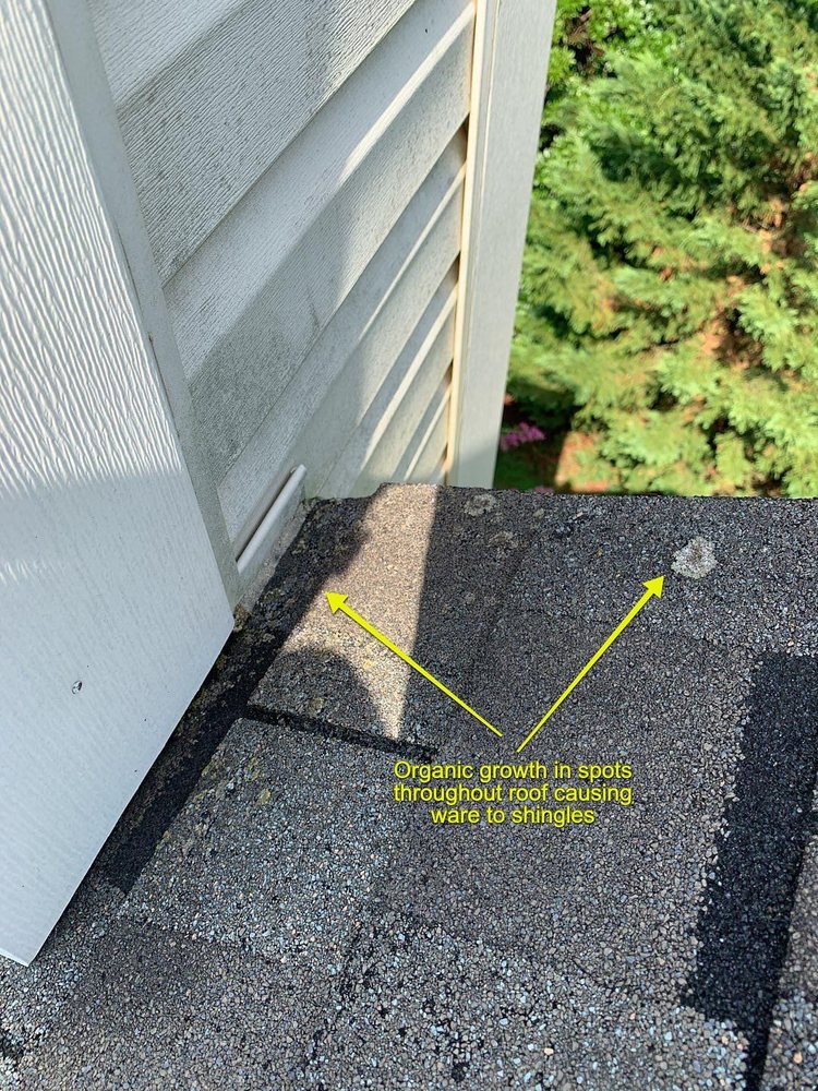 Photo of RoofPRO